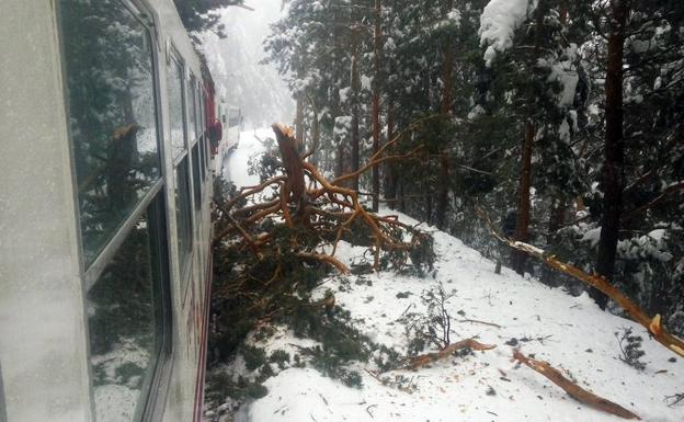 Un árbol cae sobre un tren de cercanías en Cotos