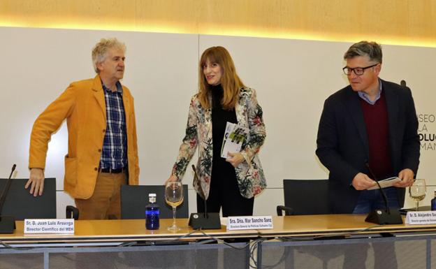 De leones a playmineros, 175 actividades culturales y divulgativas en el Museo de la Evolución