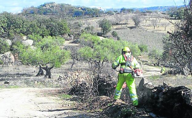 Fermoselle empieza a reverdecer tras el gran incendio del verano en Arribes