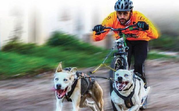 Los amantes del Canicross se dan cita en Covarrubias este domingo