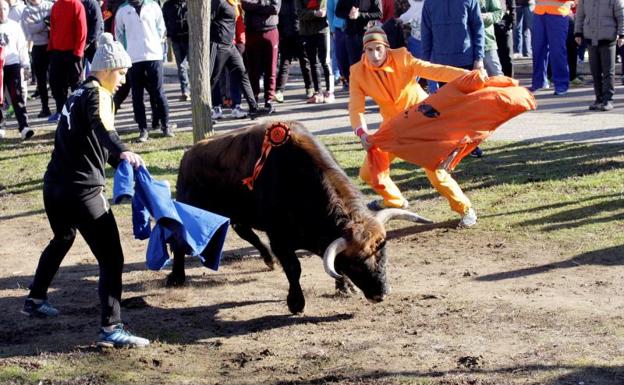 Ciudad Rodrigo se viste de Carnaval y sin heridos en sus primeros encierros