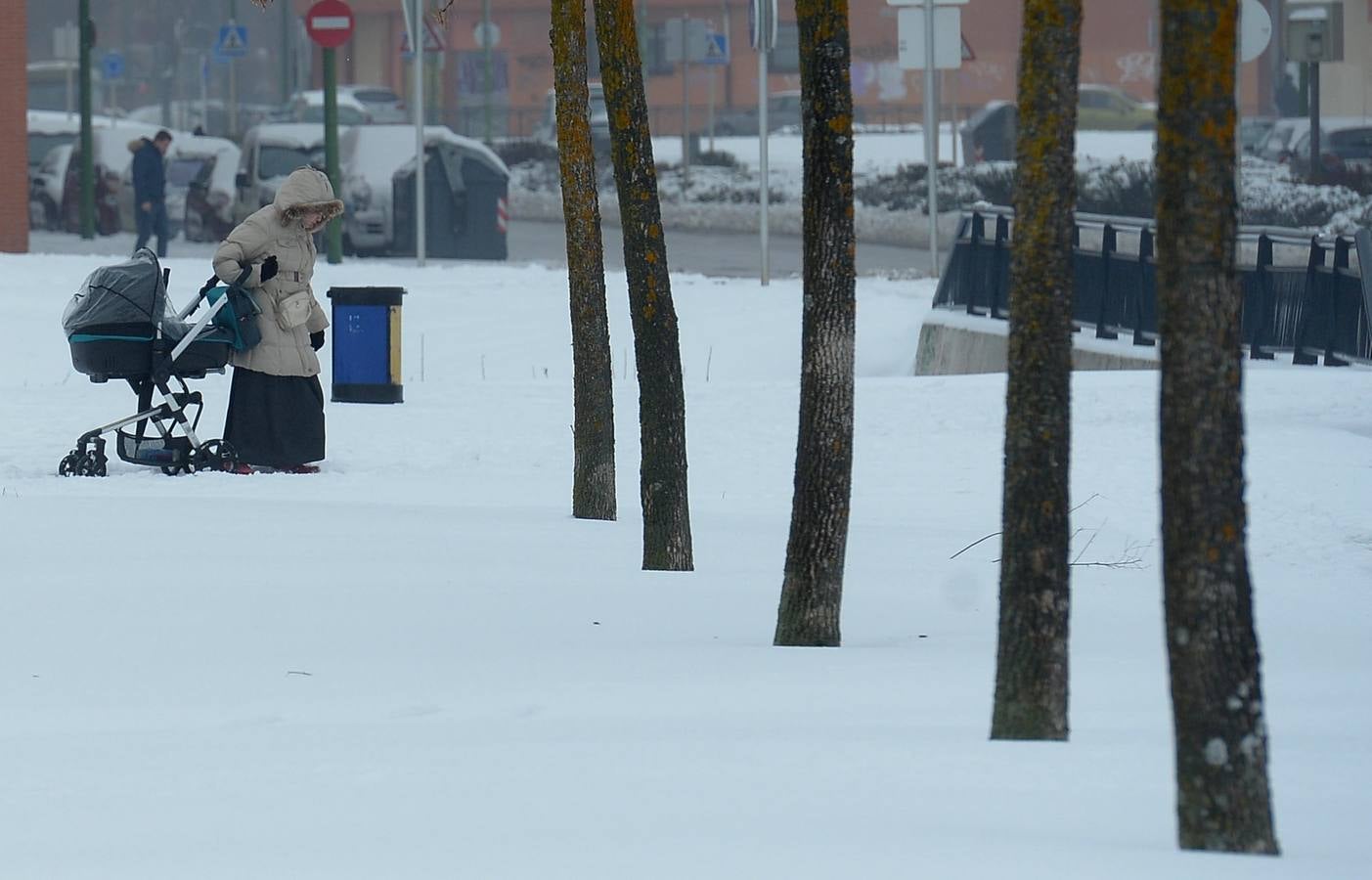 La nieve llega a todas las provincias de Castilla y León