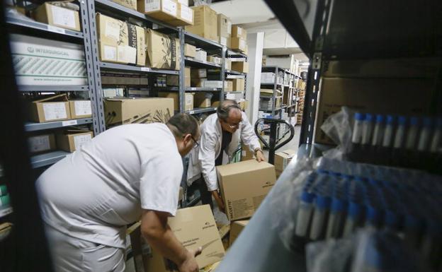 La Cámara de Comercio prevé formar a más de 100 jóvenes para que encuentren empleo