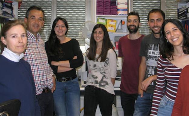 El CIC identifica un desencadenante de un tipo de leucemia infantil