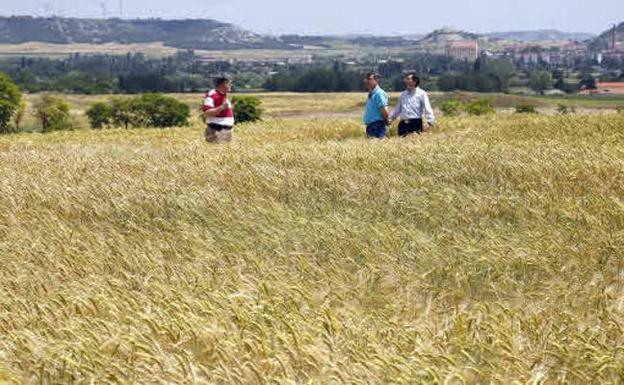 Castilla y León firmará el próximo lunes su pacto sobre la PAC tras resolverse las negociaciones