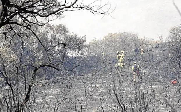 Apagar el incendio que se declaró el pasado verano en Fermoselle costó más de un millón de euros