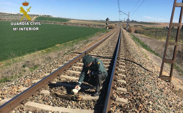 Identificado el acusado de matar animales atándolos a las vías del tren