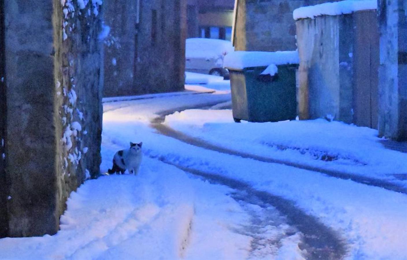 Nieve en Aguilar para recibir a la primavera