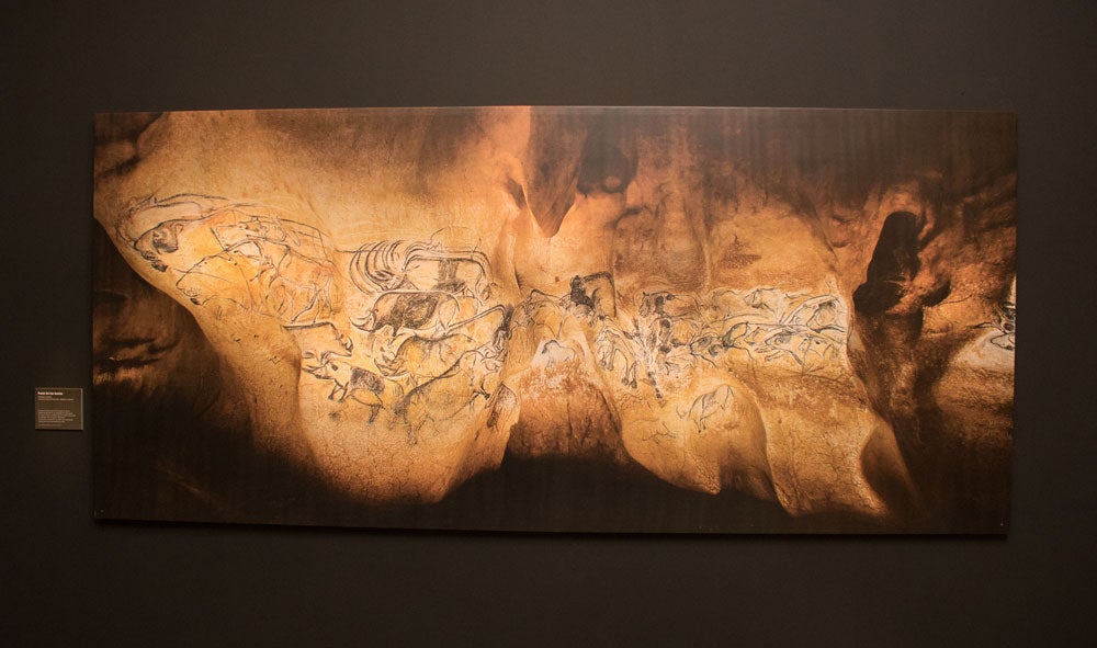 Los leones toman el Museo de la Evolución Humana