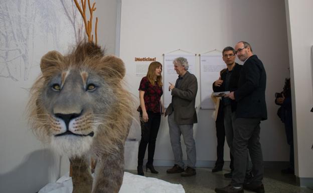 El esqueleto completo de un león de las cavernas, Pieza Única del Museo de la Evolución