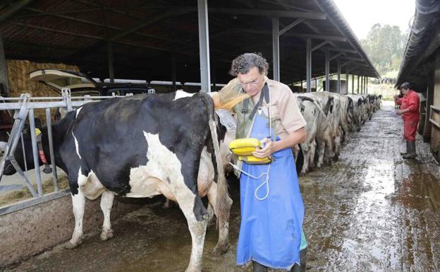 El agroganadero y el tecnológico, dos sectores con algo en común en Castilla y León