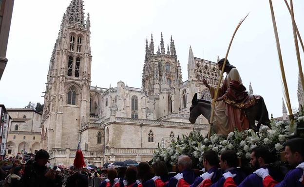 Los ramos arropan a la Borriquilla