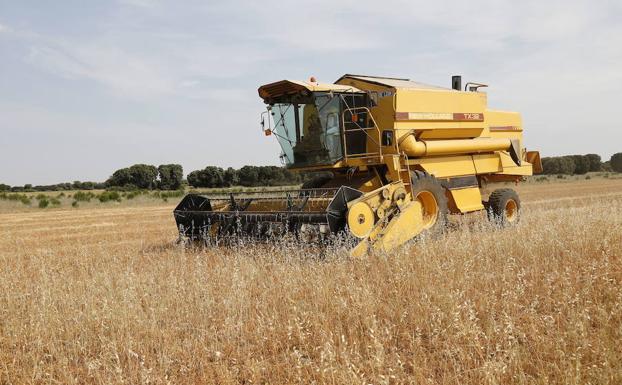 Las lluvias «dan aire» al campo pero se necesita más agua para garantizar las cosechas