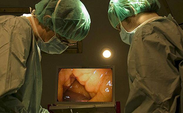 España lidera el primer programa internacional de trasplante renal cruzado