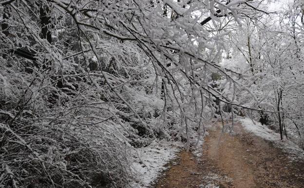 La semana comenzará con nieve en las zonas montañosas de Burgos