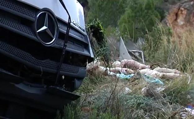 Un camión cargado de cerdos vuelca en una carretera valenciana