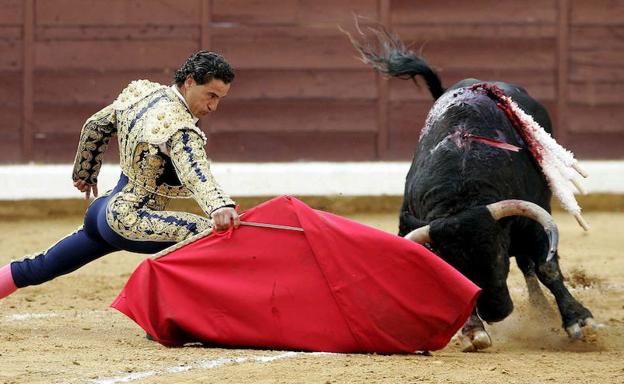 Tauroemoción traerá a Burgos un centenar de actividades culturales