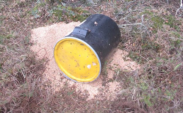 Retiran un cebadero ilegal con un atrayente prohibido para cazar animales salvajes