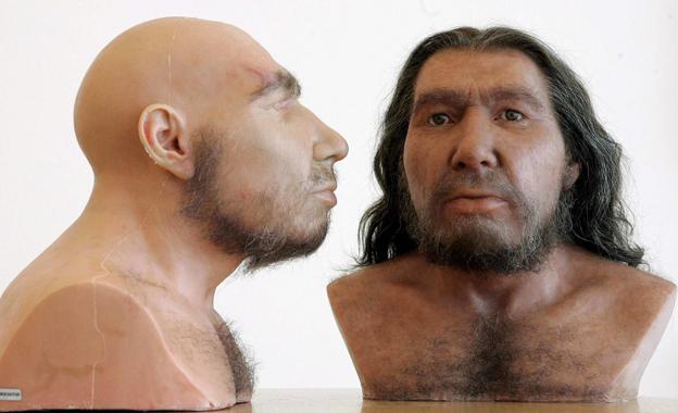 La forma del cerebro de los neandertales pudo contribuir a su extinción