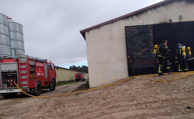 Mueren más de 20.000 pollos al arder una granja en Mudrián