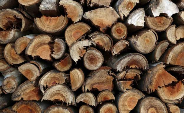 Herido grave al golpearle un tronco que estaba descargando en Quintanar de la Sierra