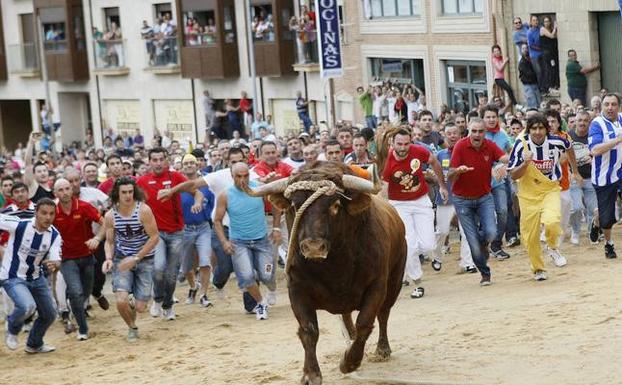 Benavente celebra esta tarde el Toro Enmaromado