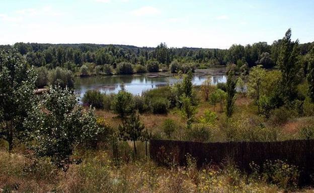 El Ayuntamiento prolonga la celebración del Día del Medio Ambiente durante todo el mes