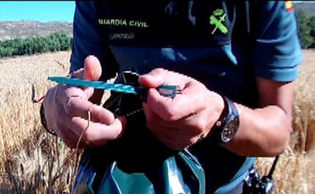 El Seprona investiga a 6 agricultores por fraude en el grano de cereal protegido