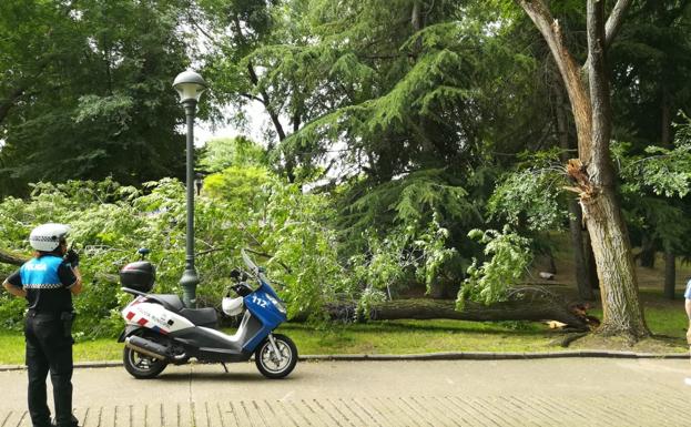 La primavera se despide con otra tromba de agua de 16,4 litros