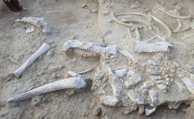 El CENIEH recibe cerca de 100.000 euros para seguir investigando en Olduvai