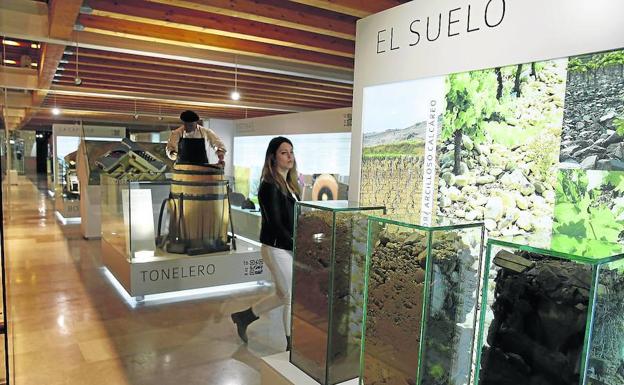 El enoturismo crece el 11% en Castilla y León y se consolida con medio millón de visitantes