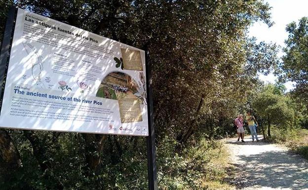 Atapuerca aporta abundante información sobre la evolución climática y botánica