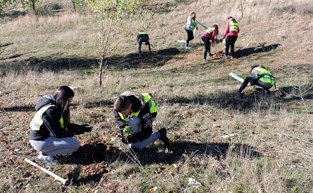 17 proyectos reciben la ayuda de Fundación Caja de Burgos y Obra Social La Caixa