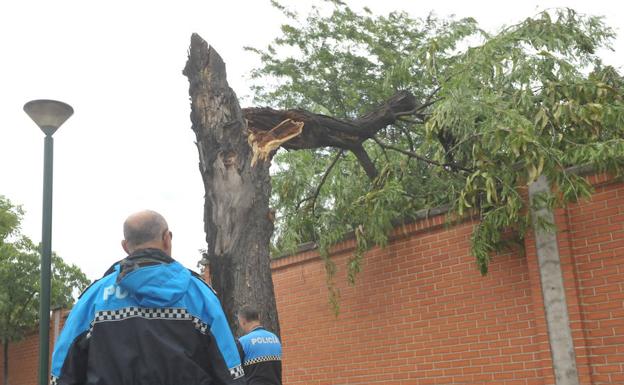 La tormenta deja inundaciones y destrozos en Valladolid