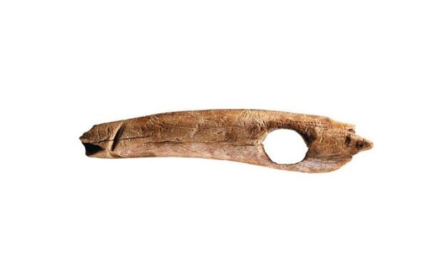 Hallan en la cueva cántabra de El Pendo un fragmento de un bastón de mando de hace 16.000 años