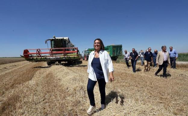 La cosecha de cereal será la mejor de los últimos cinco años con siete millones de toneladas