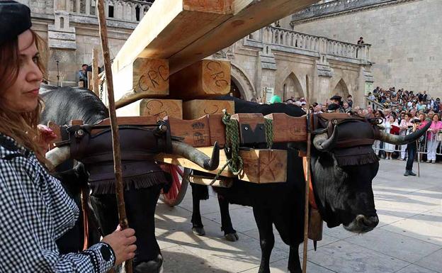 La Cabaña Real de Carreteros dedicará a la Catedral de Burgos sus rutas anuales hasta 2021