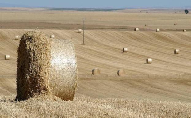 La Alianza UPA-COAG denuncia robos de bolas de alfalfa en Las Merindades