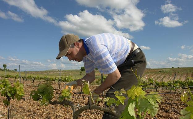 La escasa mano de obra extranjera complica la mejoría del mercado laboral de Castilla y León