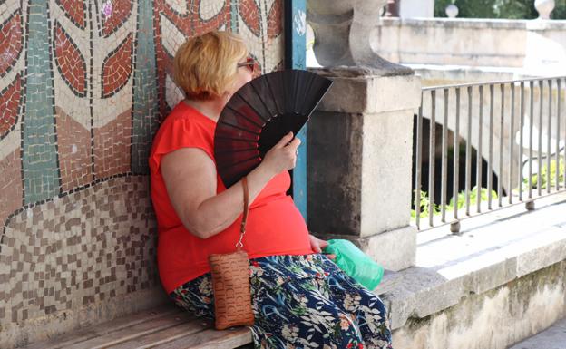 ¿Cómo saber si estamos sufriendo un golpe de calor y qué debemos hacer?