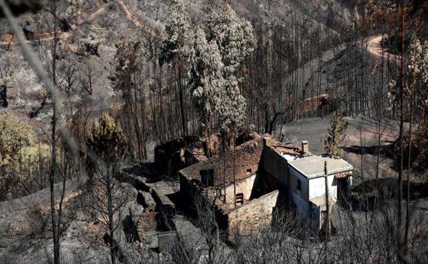 La situación se estabiliza en el Algarve, donde las llamas siguen activas