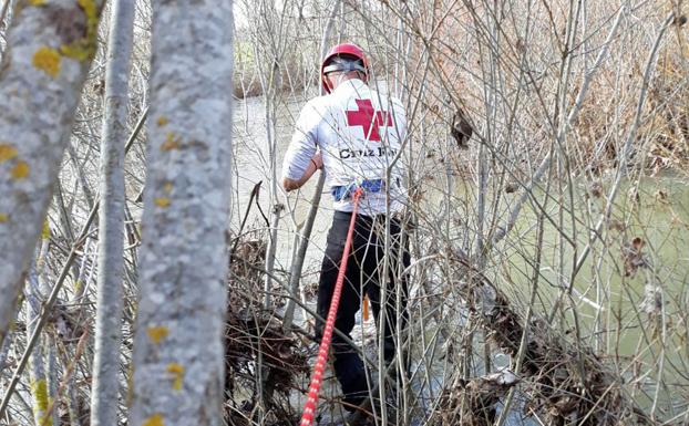 «No hay una búsqueda que sea igual que otra»