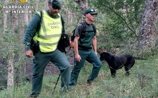 La Guardia Civil intensifica con perros de rescate la búsqueda del hombre desaparecido en Areños