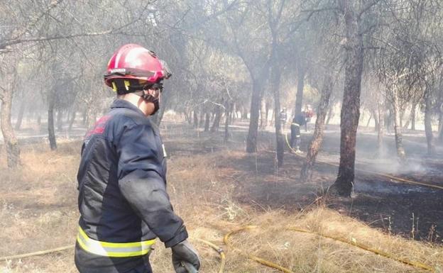 Los bomberos sofocan un incendio junto al Barrio de las Flores en Valladolid