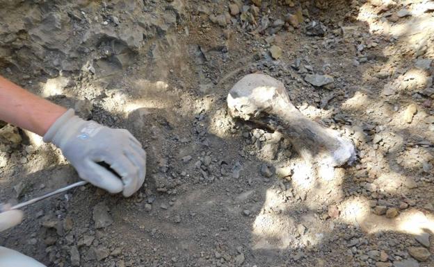Cs exige a Diputación que «no demore un día más» la resolución de las ayudas a excavaciones arqueológicas