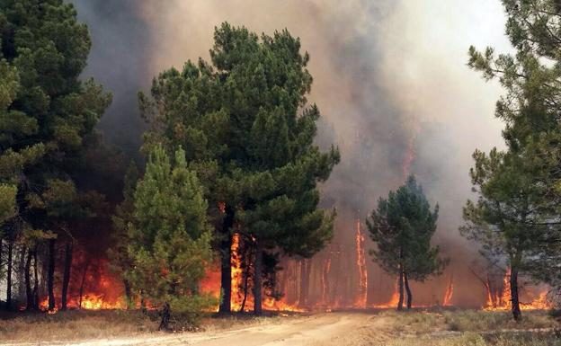 La Junta declara para este martes la alerta de incendios forestales en toda la Comunidad