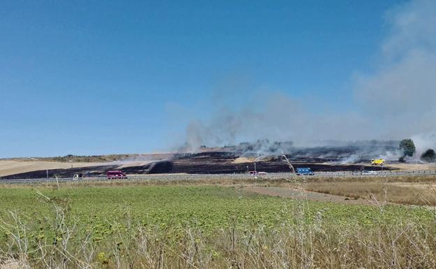 Los incendios de los últimos días arrasan casi 3.000 árboles del cinturón verde de Burgos