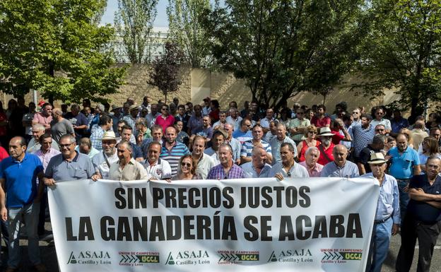 Cerca de 200 ganaderos de ovino se manifiestan frente a la Junta