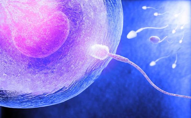 Logran preservar la fertilidad en casos de cáncer de cuello de útero