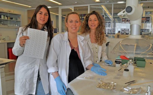 El CENIEH recoge dientes de leche para investigaciones forenses y en evolución humana